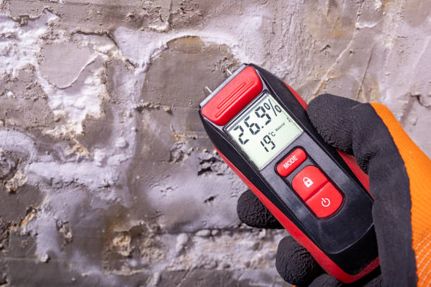 Reliable East Peoria, IL Mold Removal Solutions